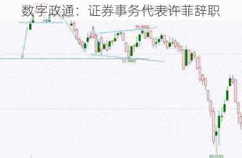 数字政通：证券事务代表许菲辞职