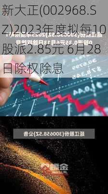 新大正(002968.SZ)2023年度拟每10股派2.85元 6月28日除权除息