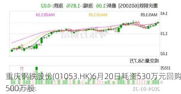 重庆钢铁股份(01053.HK)6月20日耗资530万元回购500万股