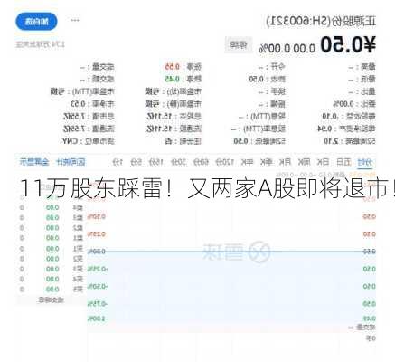 11万股东踩雷！又两家A股即将退市！