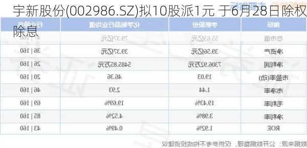 宇新股份(002986.SZ)拟10股派1元 于6月28日除权除息