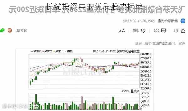 长线投资中的优质股票榜单