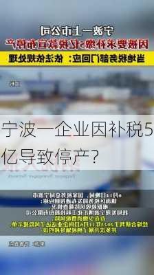 宁波一企业因补税5亿导致停产？