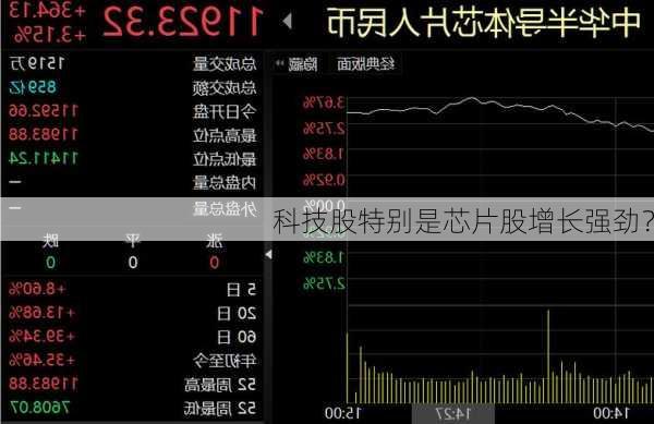 科技股特别是芯片股增长强劲？