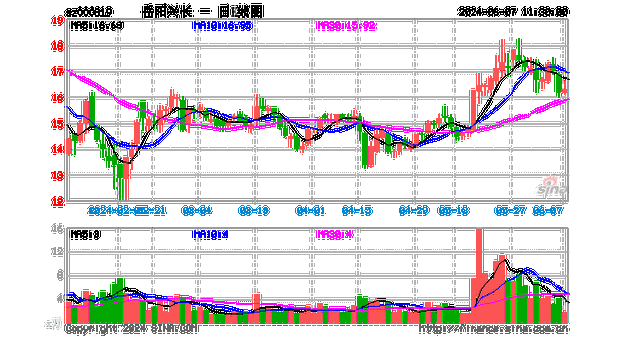 岳阳兴长（000819）：6月21日10时39分触及涨停板