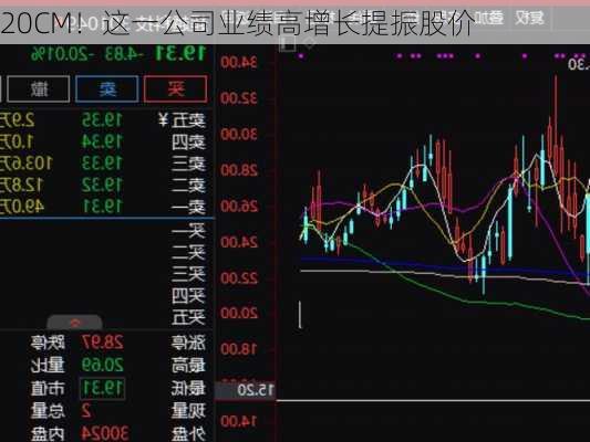 20CM！这一公司业绩高增长提振股价