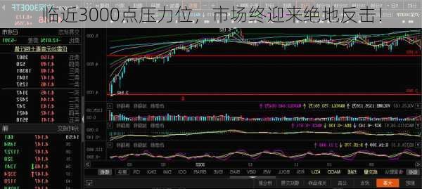 临近3000点压力位，市场终迎来绝地反击！