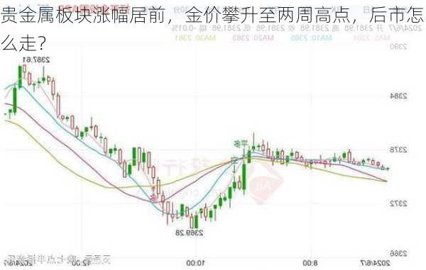 贵金属板块涨幅居前，金价攀升至两周高点，后市怎么走？