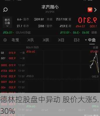 德林控股盘中异动 股价大涨5.30%