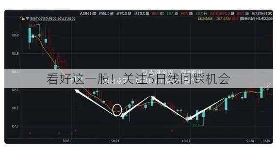 看好这一股！关注5日线回踩机会