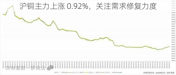 沪铜主力上涨 0.92%，关注需求修复力度