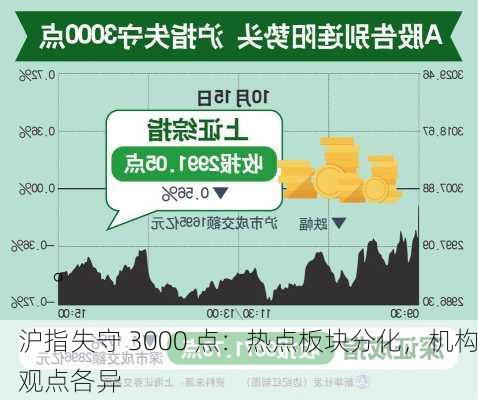 沪指失守 3000 点：热点板块分化，机构观点各异