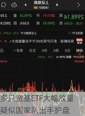 多只宽基ETF大幅放量 疑似国家队出手护盘