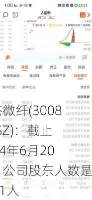 聚杰微纤(300819.SZ)：截止2024年6月20日，公司股东人数是9631人