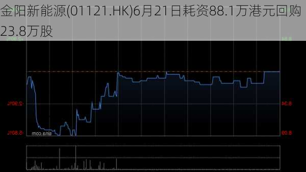 金阳新能源(01121.HK)6月21日耗资88.1万港元回购23.8万股