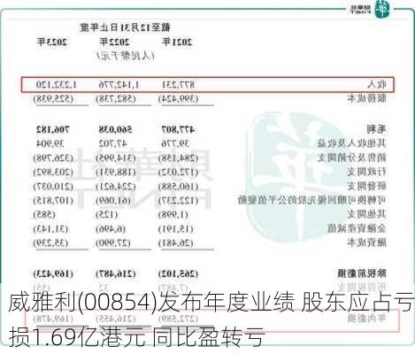 威雅利(00854)发布年度业绩 股东应占亏损1.69亿港元 同比盈转亏