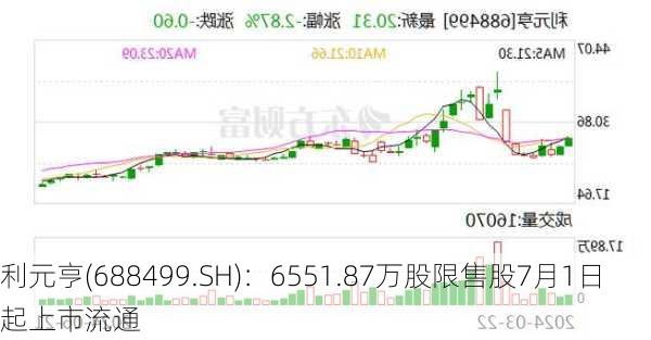 利元亨(688499.SH)：6551.87万股限售股7月1日起上市流通