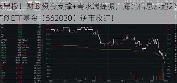 敲黑板！财政资金支撑+需求端提振，海光信息涨超2%，信创ETF基金（562030）逆市收红！