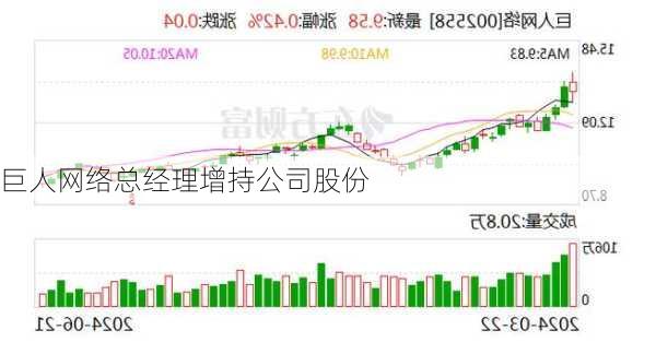 巨人网络总经理增持公司股份