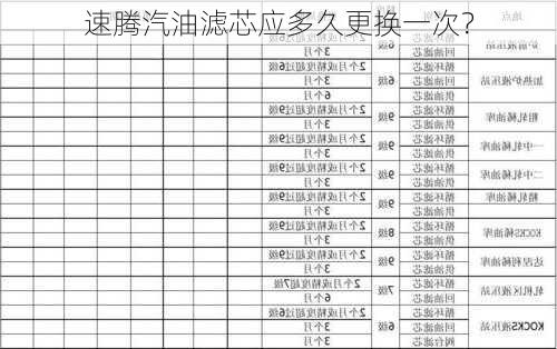 速腾汽油滤芯应多久更换一次？