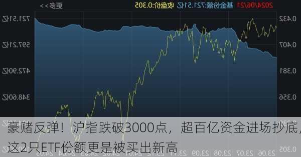 豪赌反弹！沪指跌破3000点，超百亿资金进场抄底，这2只ETF份额更是被买出新高