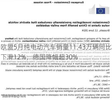 欧盟5月纯电动汽车销量11.43万辆同比下滑12%，德国降幅超30%