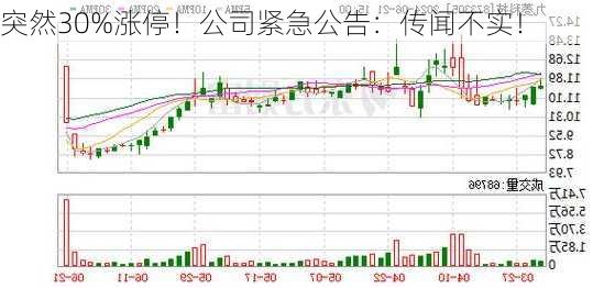 突然30%涨停！公司紧急公告：传闻不实！