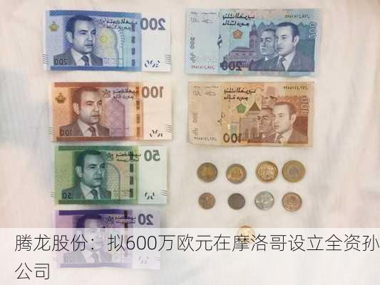 腾龙股份：拟600万欧元在摩洛哥设立全资孙公司