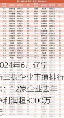 2024年6月辽宁新三板企业市值排行榜：12家企业去年净利润超3000万元