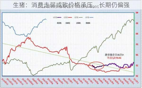 生猪：消费走弱或致价格承压，长期仍偏强