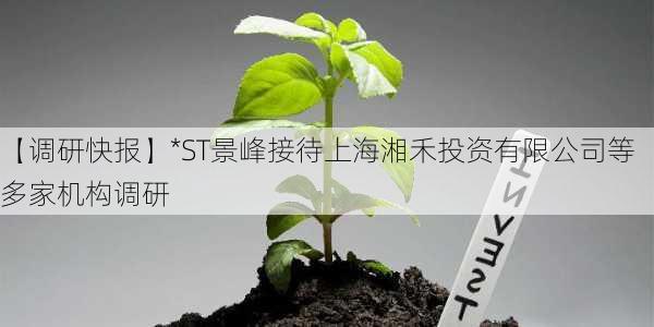 【调研快报】*ST景峰接待上海湘禾投资有限公司等多家机构调研