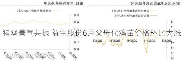 猪鸡景气共振 益生股份6月父母代鸡苗价格环比大涨