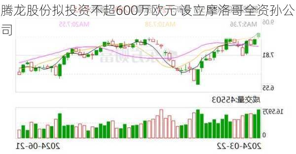 腾龙股份拟投资不超600万欧元 设立摩洛哥全资孙公司