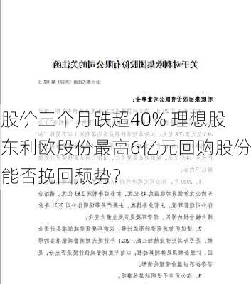 股价三个月跌超40% 理想股东利欧股份最高6亿元回购股份能否挽回颓势？