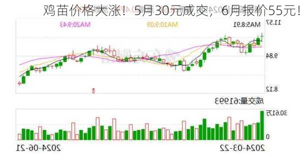 鸡苗价格大涨！5月30元成交，6月报价55元！