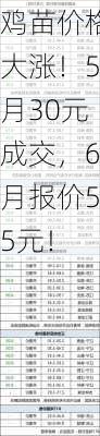 鸡苗价格大涨！5月30元成交，6月报价55元！