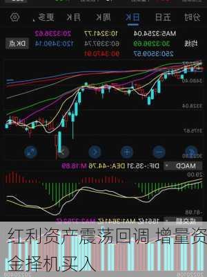 红利资产震荡回调 增量资金择机买入