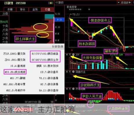 这家公司！主力正抢筹