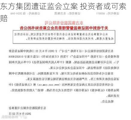 东方集团遭证监会立案 投资者或可索赔