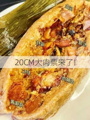 20CM大肉票来了!