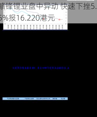 赣锋锂业盘中异动 快速下挫5.15%报16.220港元