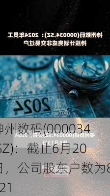 神州数码(000034.SZ)：截止6月20日，公司股东户数为81021