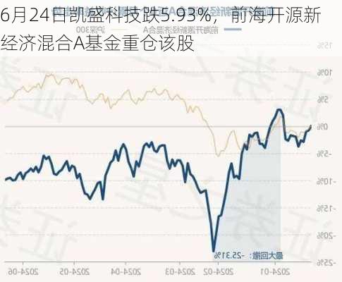 6月24日凯盛科技跌5.93%，前海开源新经济混合A基金重仓该股