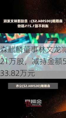 森麒麟董事林文龙减持21万股，减持金额533.82万元