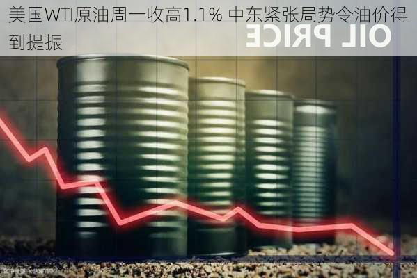 美国WTI原油周一收高1.1% 中东紧张局势令油价得到提振