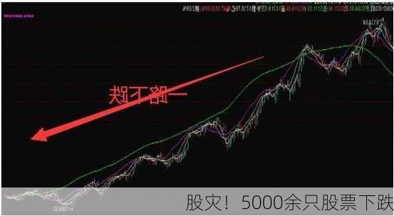 股灾！5000余只股票下跌