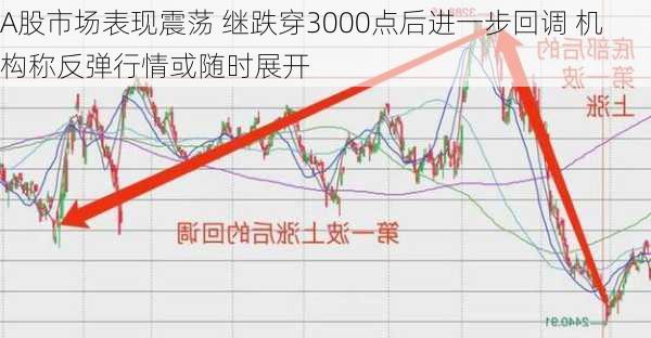 A股市场表现震荡 继跌穿3000点后进一步回调 机构称反弹行情或随时展开