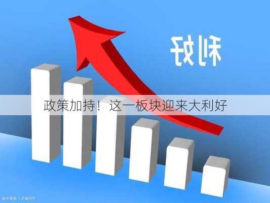 政策加持！这一板块迎来大利好