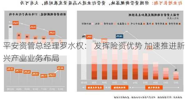 平安资管总经理罗水权： 发挥险资优势 加速推进新兴产业业务布局