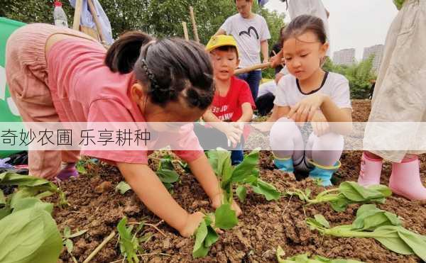 奇妙农圃 乐享耕种